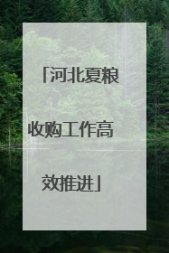 河北夏粮收购工作高效推进