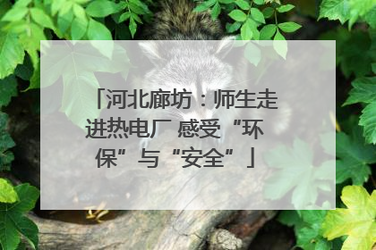 河北廊坊：师生走进热电厂 感受“环保”与“安全”