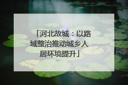 河北故城：以路域整治推动城乡人居环境提升