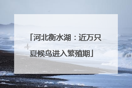 河北衡水湖：近万只夏候鸟进入繁殖期