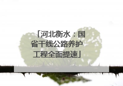 河北衡水：国省干线公路养护工程全面提速