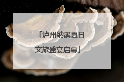 泸州纳溪夏日文旅盛宴启幕