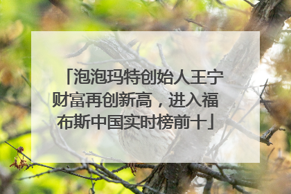 泡泡玛特创始人王宁财富再创新高，进入福布斯中国实时榜前十