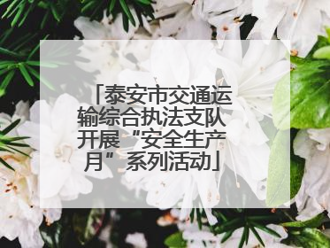 泰安市交通运输综合执法支队开展“安全生产月”系列活动