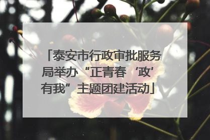 泰安市行政审批服务局举办“正青春‘政’有我”主题团建活动