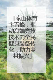 泰山体育卞青峰：推动高端竞技技术向全民健身装备转化，助力乡村振兴