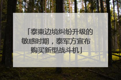 泰柬边境纠纷升级的敏感时期，泰军方宣布购买新型战斗机
