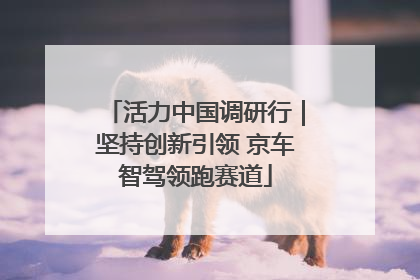 活力中国调研行｜坚持创新引领 京车智驾领跑赛道