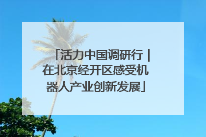 活力中国调研行｜在北京经开区感受机器人产业创新发展
