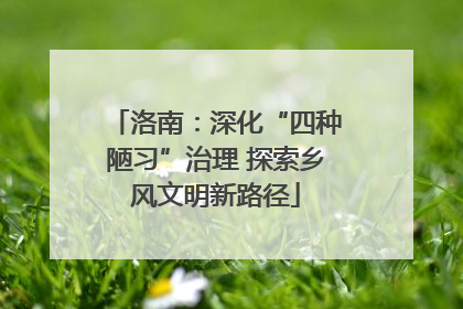 洛南：深化“四种陋习”治理 探索乡风文明新路径