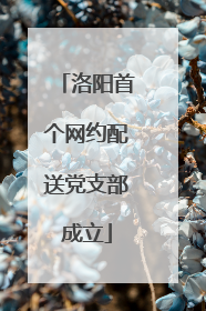 洛阳首个网约配送党支部成立