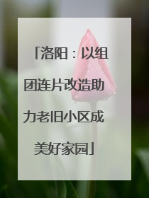 洛阳：以组团连片改造助力老旧小区成美好家园