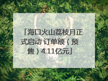 海口火山荔枝月正式启动 订单额（预售）4.11亿元