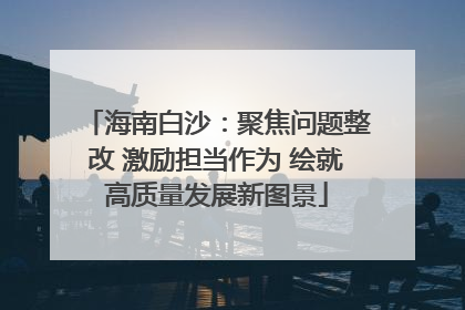 海南白沙：聚焦问题整改 激励担当作为 绘就高质量发展新图景