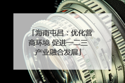 海南屯昌：优化营商环境 促进一二三产业融合发展