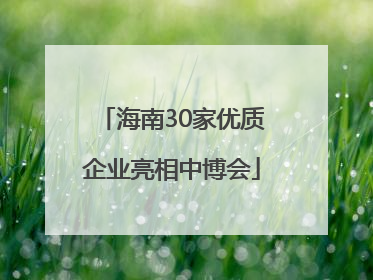 海南30家优质企业亮相中博会