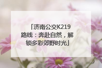 济南公交K219路线：奔赴自然，解锁多彩郊野时光