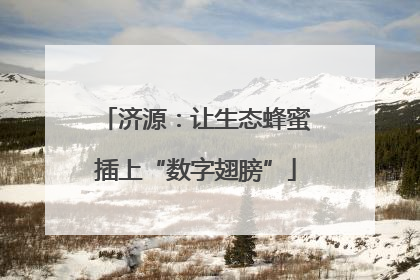 济源：让生态蜂蜜插上“数字翅膀”
