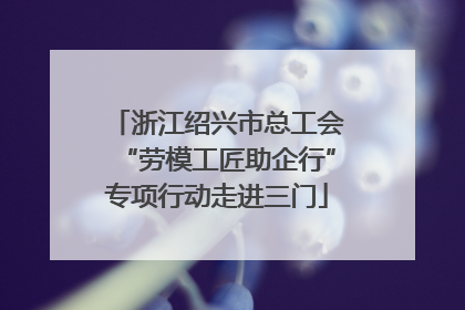 浙江绍兴市总工会“劳模工匠助企行”专项行动走进三门