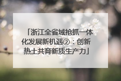 浙江全省域抢抓一体化发展新机遇②：创新热土共育新质生产力
