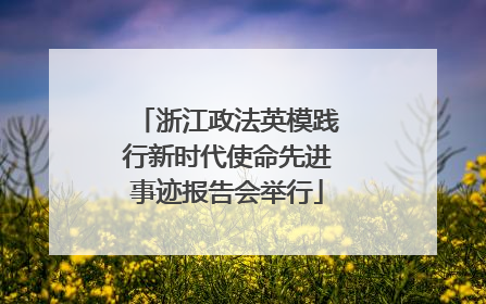 浙江政法英模践行新时代使命先进事迹报告会举行