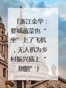 浙江金华：婺城蔬菜也“坐”上了飞机，无人机为乡村振兴插上“翅膀”