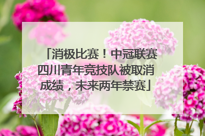 消极比赛！中冠联赛四川青年竞技队被取消成绩，未来两年禁赛