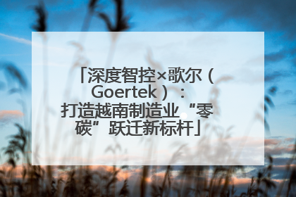 深度智控×歌尔（Goertek）：打造越南制造业“零碳”跃迁新标杆