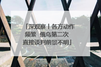 深观察丨各方动作频繁  俄乌第二次直接谈判前景不明