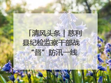 清风头条｜慈利县纪检监察干部战“督”防汛一线 守护群众利益