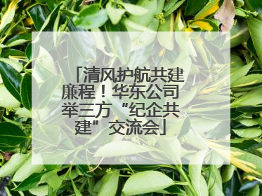 清风护航共建廉程！华东公司举三方“纪企共建”交流会