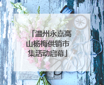 温州永嘉高山杨梅供销市集活动启幕