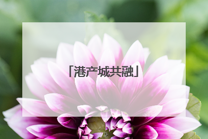 港产城共融