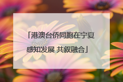 港澳台侨同胞在宁夏感知发展 共叙融合