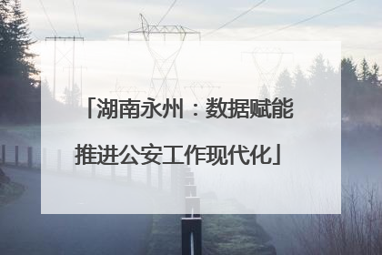 湖南永州：数据赋能推进公安工作现代化