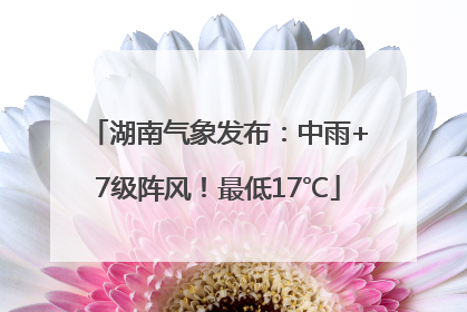 湖南气象发布：中雨+7级阵风！最低17℃