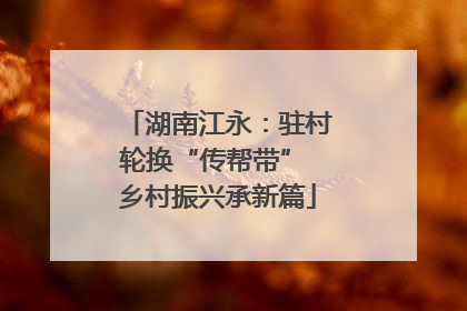 湖南江永：驻村轮换“传帮带” 乡村振兴承新篇