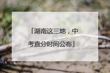 湖南这三地，中考查分时间公布