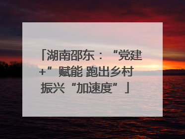 湖南邵东：“党建+”赋能 跑出乡村振兴“加速度”