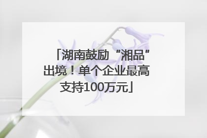 湖南鼓励“湘品”出境！单个企业最高支持100万元