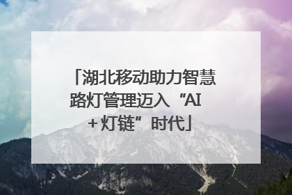 湖北移动助力智慧路灯管理迈入“AI＋灯链”时代