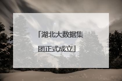 湖北大数据集团正式成立