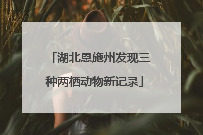 湖北恩施州发现三种两栖动物新记录