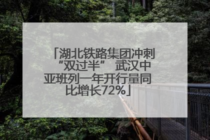 湖北铁路集团冲刺“双过半” 武汉中亚班列一年开行量同比增长72%