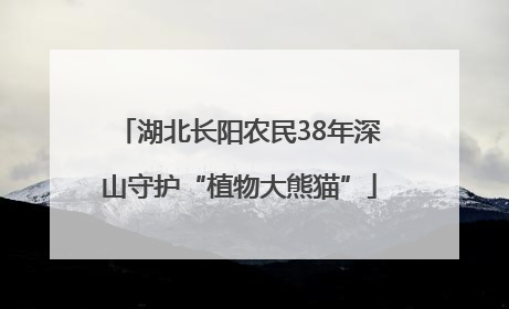 湖北长阳农民38年深山守护“植物大熊猫”