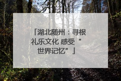 湖北随州：寻根礼乐文化 感受“世界记忆”