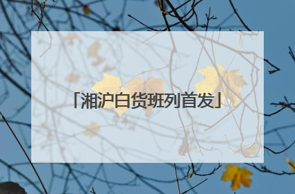 湘沪白货班列首发