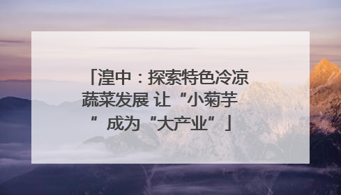 湟中：探索特色冷凉蔬菜发展 让“小菊芋”成为“大产业”