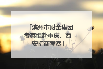 滨州市财金集团考察组赴重庆、西安招商考察