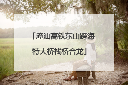 漳汕高铁东山跨海特大桥栈桥合龙